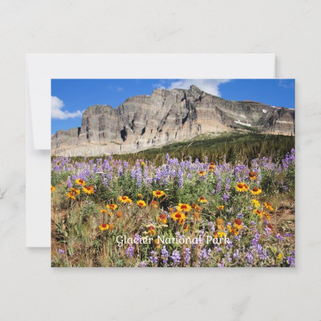 Glacier National Park scenic photograph Card (Front)