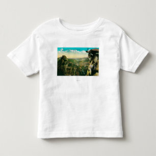 Glacier Point, Half Dome, and Yosemite Valley Toddler T-Shirt