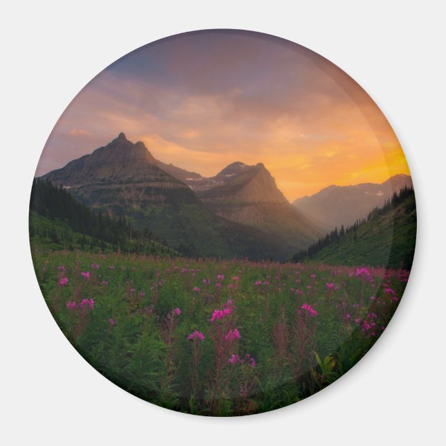 Glacier Wildflowers Magnet (Front)