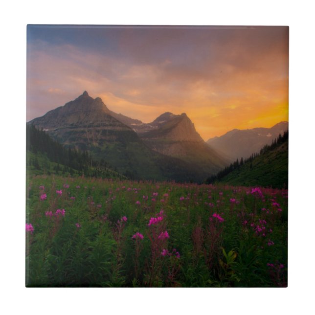 Glacier Wildflowers Tile (Front)
