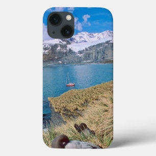 Glaciers and sailing yacht in background iPhone 13 case
