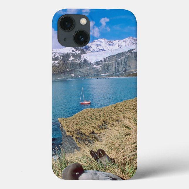 Glaciers and sailing yacht in background Case-Mate iPhone case (Back)