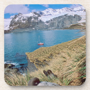 Glaciers and sailing yacht in background coaster