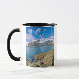 Glaciers and sailing yacht in background mug