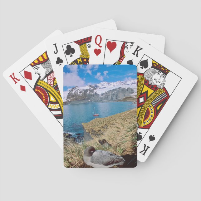 Glaciers and sailing yacht in background playing cards (Back)