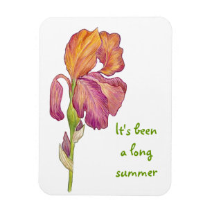 Glad you're back card magnet