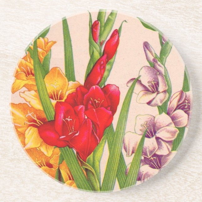gladiola flowers gladioli flowers coaster (Front)