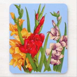 gladiola gladiolus mouse mat