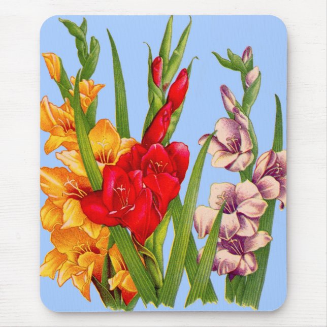 gladiola gladiolus mouse mat (Front)