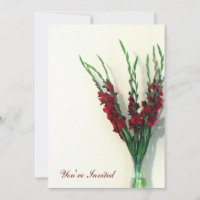 Gladiola