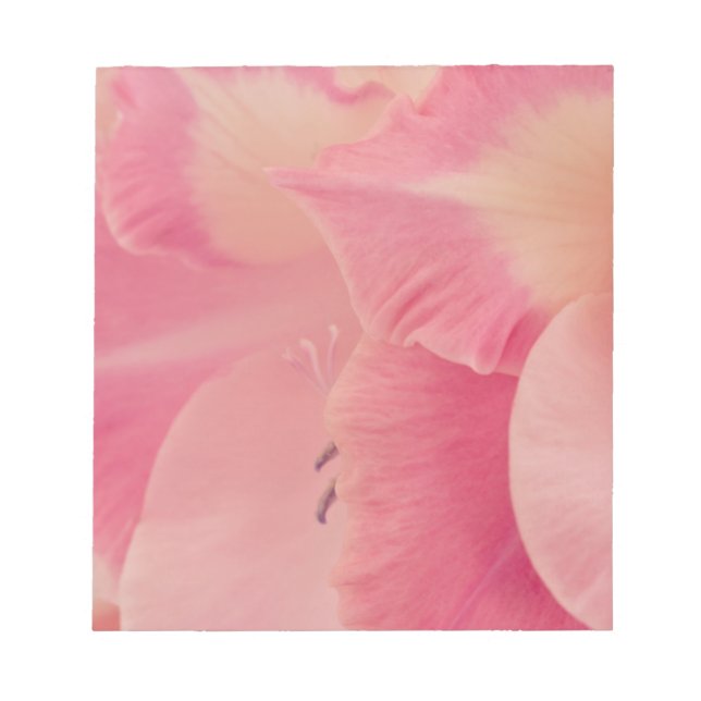 Gladiola Petals Notepad (Front)