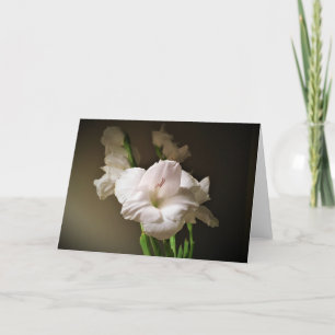 Gladioli, card
