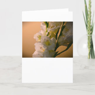 Gladioli, card