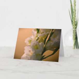 Gladioli, card