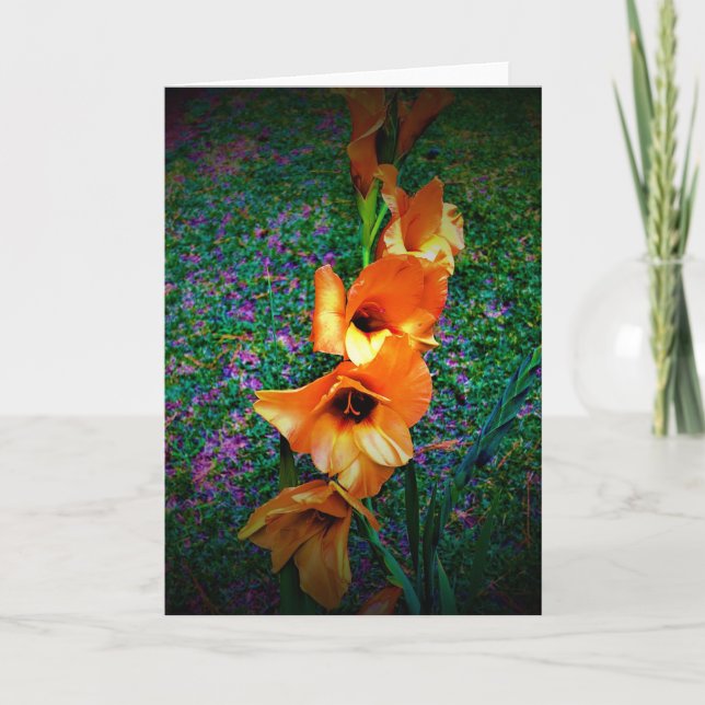 Gladioli, card (Front)
