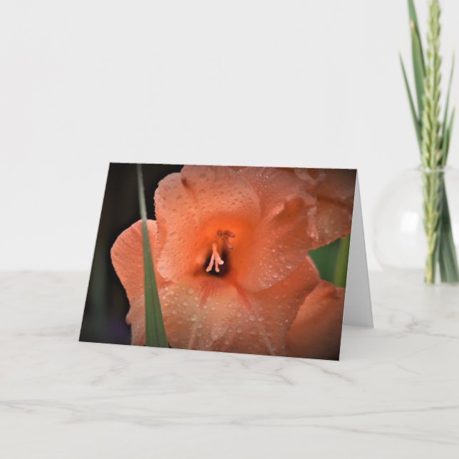 Gladioli, card (Front)