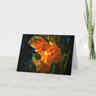 Gladioli, card