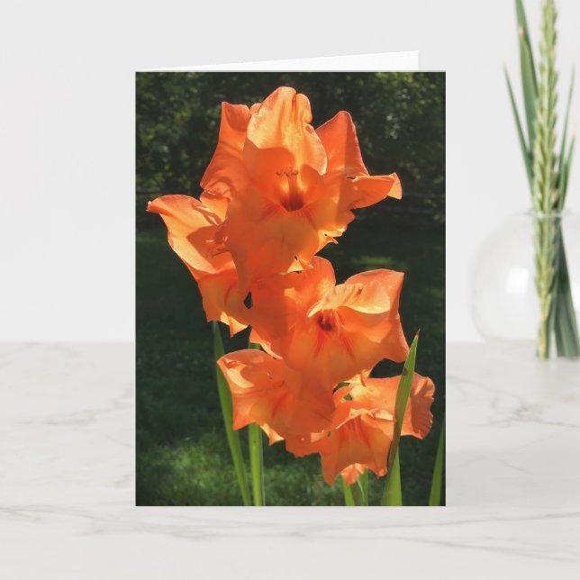 Gladioli, card (Front)