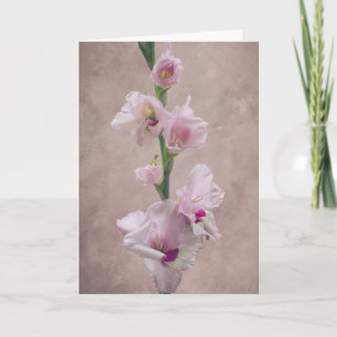 Gladioli flower card