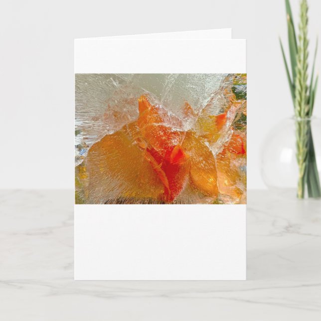 Gladioli in Ice, Card (Front)