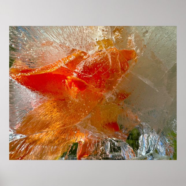 Gladioli in Ice, Poster (Front)