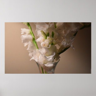 Gladioli,  poster