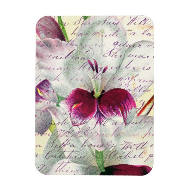 gladiolus art calligraphy collage magnet (Vertical)