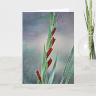 Gladiolus Buds Flower Portrait Note Card