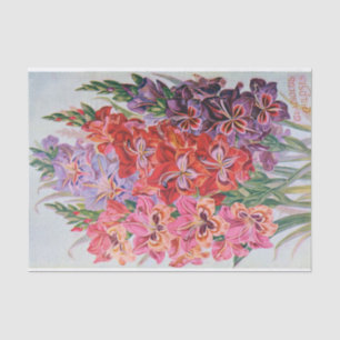 Gladiolus Colour Vintage Floral Tissue Paper