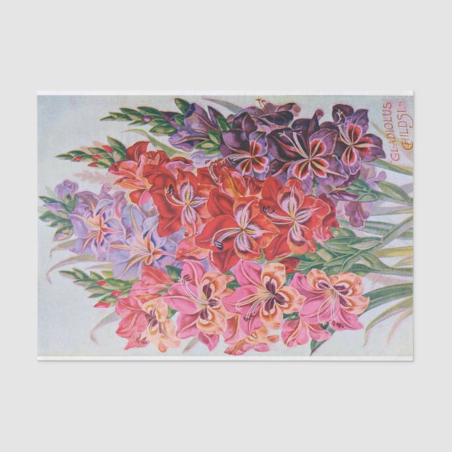 Gladiolus Colour Vintage Floral Tissue Paper (Front)