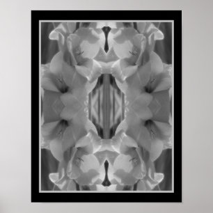Gladiolus Flower Black And White Abstract   Poster