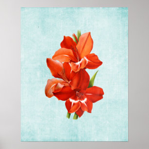 Gladiolus Illustration on Aged Denim Poster