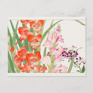 Gladiolus, Schizanthus by Tanigami Konan Postcard