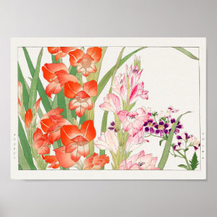 Gladiolus, Schizanthus by Tanigami Konan Poster