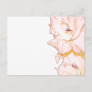 Gladiolus sketch postcard