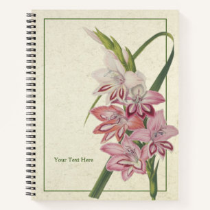 Glaielus Truffaut Notebook