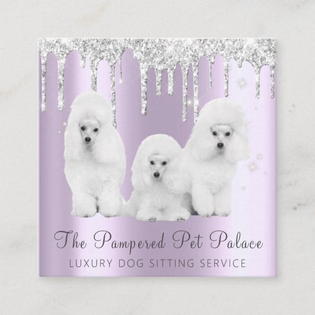 Glam Lavender Glitter Drips Poodle Pet Sitting Square Business Card (Front)