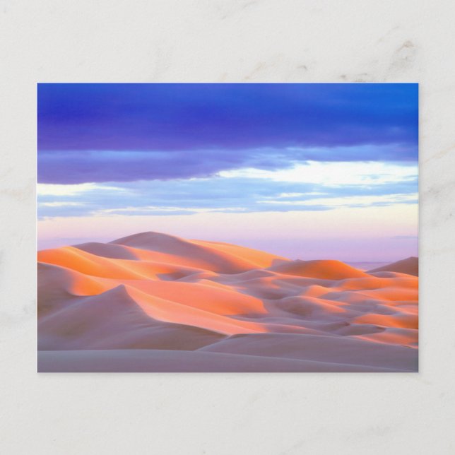 Glamis Sand Dunes at sunset Postcard (Front)