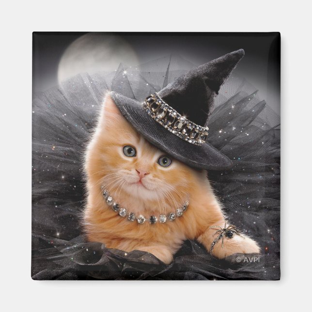 Glamorous Witch Kitten Magnet (Front)