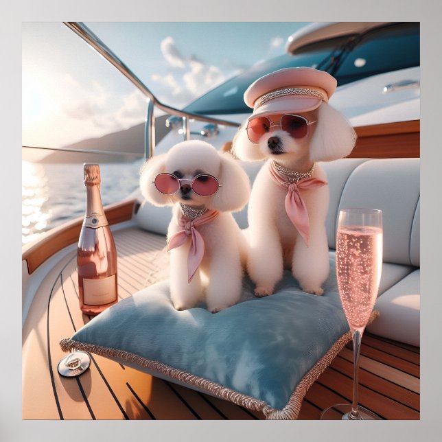 Glamour fashion luxury lifestyle photo poster (Front)