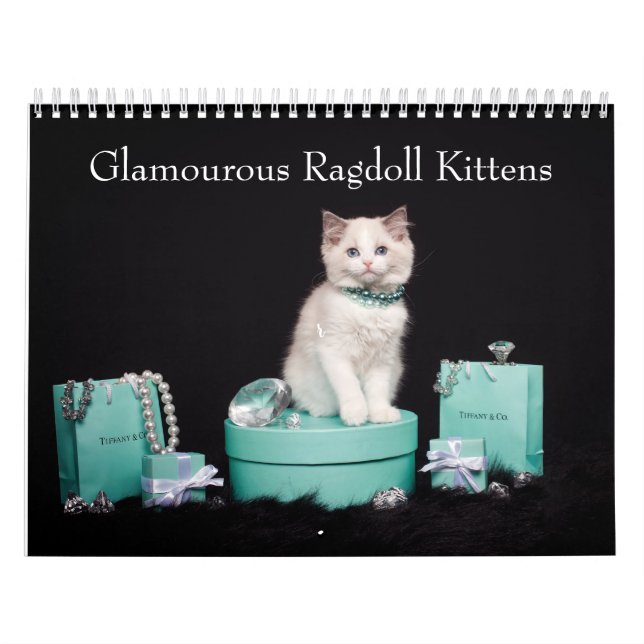 Glamourous Ragdoll Kittens Calendar (Cover)