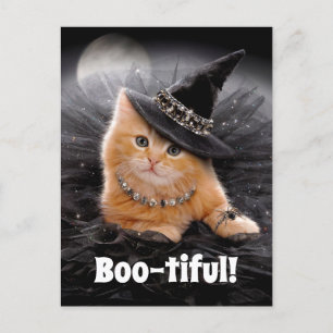Glamourous Witch Kitten Invitation Postcard