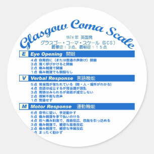 Glasgow Coma Scale Classic Round Sticker