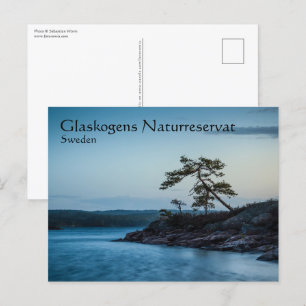 Glaskogen Sweden Postcard