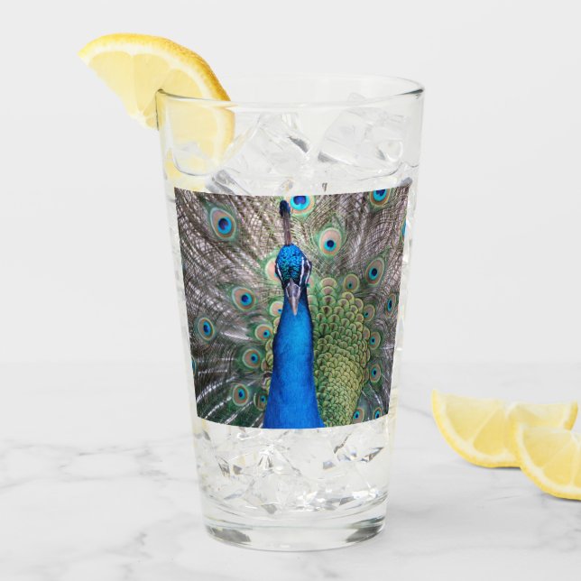 Glass 002 - Peacock (Front Ice)