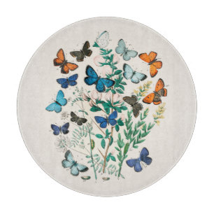 GLASS CHOPPING BOARD : ANTIQUE PRINT : BUTTERFLIES