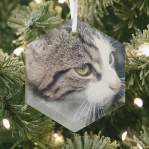 Glass Christmas ornament with custom photo image