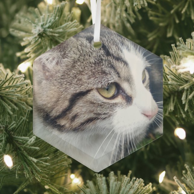 Glass Christmas ornament with custom photo image (Insitu)