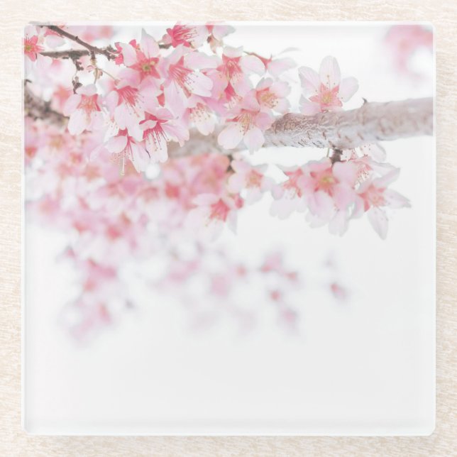 GLASS COASTER : CHERRY BLOSSOM (Front)