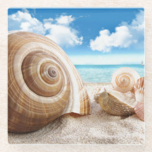 Glass Coaster-Sea Shells Glass Coaster